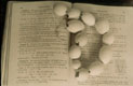 Inequalities, copyright Dolie Thompson
