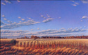 Harvest Garden, copyright Ellen Wagener