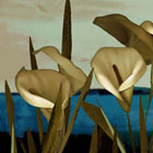 Twilight Lilies © 2008 Sara Slee Brown | All Rights Reserved