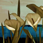 Twilight Lilies © 2008 Sara Slee Brown | All Rights Reserved Twilight Lilies © 2008 Sara Slee Brown | All Rights Reserved