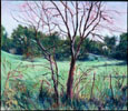 Molly's Pasture © 1999 Susan Coleman | All Rights Reserved Molly's Pasture © 1999 Susan Coleman | All Rights Reserved