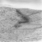 Iowa Cornfield © 2007 Janet Hart Heinicke | All Rights Reserved Iowa Cornfield © 2007 Janet Hart Heinicke | All Rights Reserved