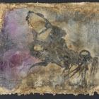 Little Root © 2006 Janet Hart Heinicke | All Rights Reserved Little Root © 2006 Janet Hart Heinicke | All Rights Reserved