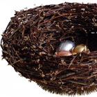 Sometimes a Safe Haven © 2007 Marcia Joffe-Bouska | All Rights Reserved Sometimes a Safe Haven © 2007 Marcia Joffe-Bouska | All Rights Reserved