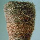 Nest © 1997 Louise Kames | All Rights Reserved Nest © 1997 Louise Kames | All Rights Reserved