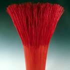 Linby, copyright 2003 Mary Merkel-Hess | All Rights Reserved Linby, copyright 2003 Mary Merkel-Hess | All Rights Reserved