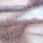 Winter Grasses © 2005 Elizabeth Miller | All Rights Reserved