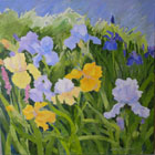 Irises from My Garden © Libby Momberg | All Rights Reserved Irises from My Garden © Libby Momberg | All Rights Reserved