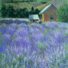 Lavender Ridge, Reno © 2007 Mary Muller | All Rights Reserved Lavender Ridge, Reno © 2007 Mary Muller | All Rights Reserved