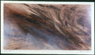 Spring Storm © 1999 Virginia A. Myers | All Rights Reserved Spring Storm © 1999 Virginia A. Myers | All Rights Reserved