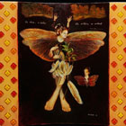 Feather Lady © 2007 Wendy S. Rolfe | All Rights Reserved Feather Lady © 2007 Wendy S. Rolfe | All Rights Reserved