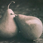 Pear Duo © Dolie Thompson | All Rights Reserved Pear Duo © Dolie Thompson | All Rights Reserved