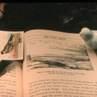 Bird Stories 6 © Dolie Thompson | All Rights Reserved Bird Stories 6 © Dolie Thompson | All Rights Reserved