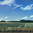 Windrows © 1997 Ellen Wagener | All Rights Reserved Windrows © 1997 Ellen Wagener | All Rights Reserved