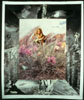 Prairie Amazon © 1998 Laura Waldo-Semken | All Rights Reserved Prairie Amazon © 1998 Laura Waldo-Semken | All Rights Reserved