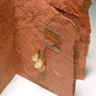 Self-Portrait with Mother © Gretchen Weber | All Rights Reserved Self-Portrait with Mother © Gretchen Weber | All Rights Reserved