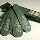 Zucchini © Gretchen Weber | All Rights Reserved Zucchini © Gretchen Weber | All Rights Reserved