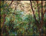 Wilderness Fragment