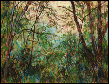 Wilderness Fragment