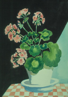 Pink Geranium