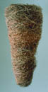 Nest, copyright Louise Kames