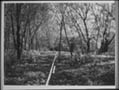 Highway Relocation 2, copyright Carol Macomber