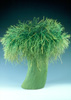 Tree, copyright 2001 Mary Merkel-Hess | All Rights Reserved