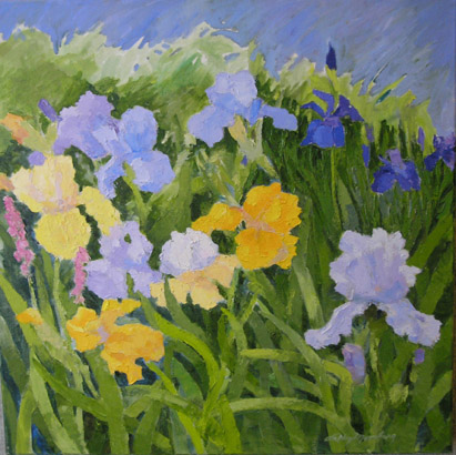 Irises from My Garden