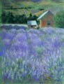 Lavender Ridge, Reno