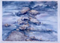 Stream's Edge, copyright Jan Shotwell