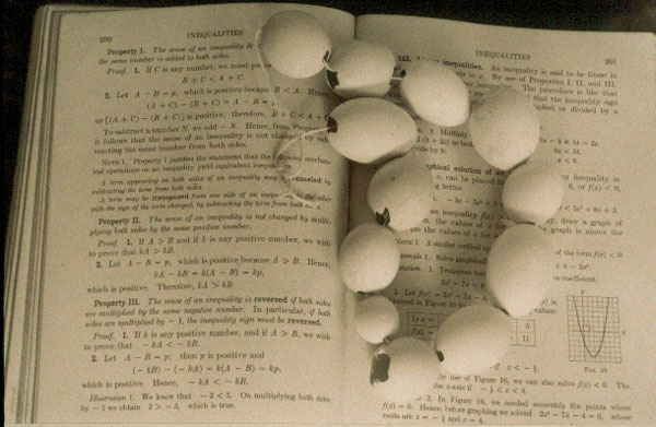 Inequalities, copyright Dolie Thompson