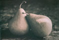 Pear Duo, copyright Dolie Thompson