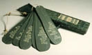 Zucchini, copyright Gretchen Weber