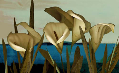Twilight Lilies © 2008 Sara Slee Brown | All Rights Reserved