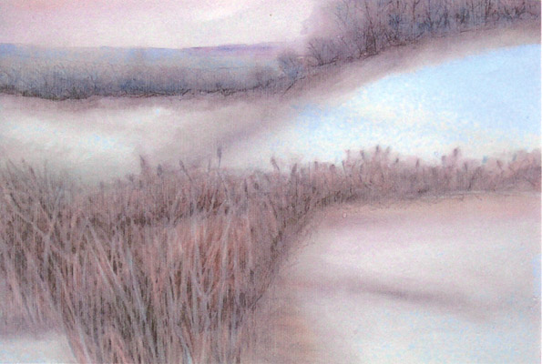 Winter Grasses © 2005 Elizabeth Miller | All Rights Reserved